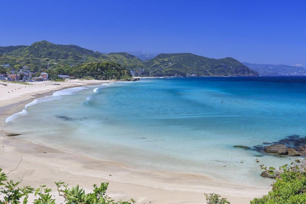 해변 / Expedia Group image