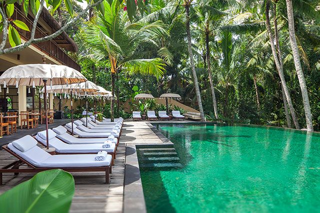 수영장 / 공식 호텔 정보 image