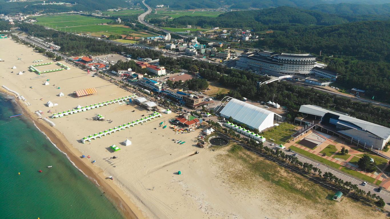 동해 호텔: 144개의 저렴한 동해 호텔 상품, 대한민국 동해 호텔: 144개의 저렴한 동해 호텔 상품, 대한민국