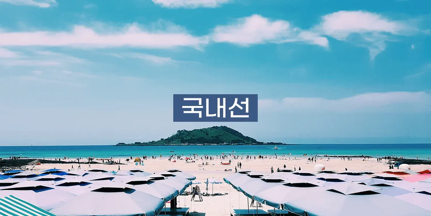 국내선