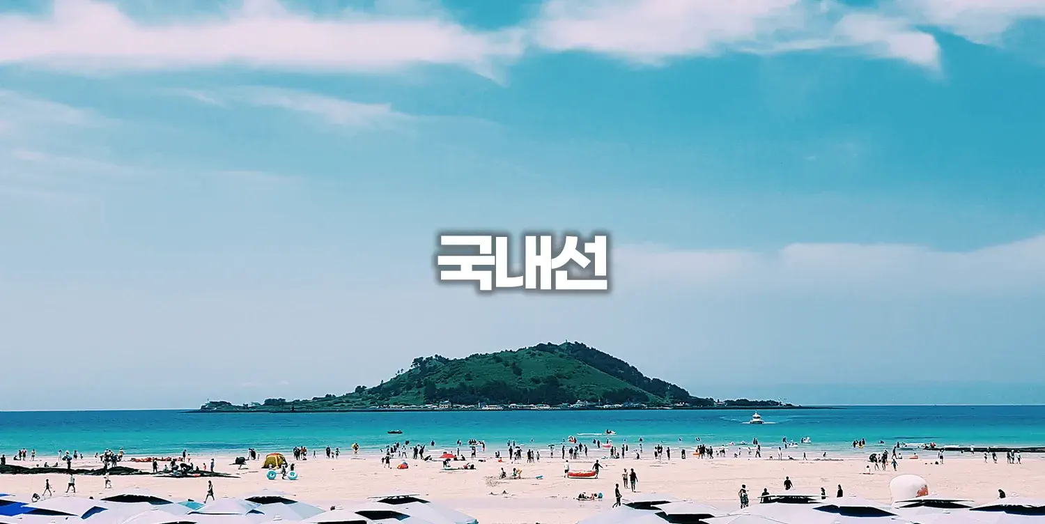 국내선