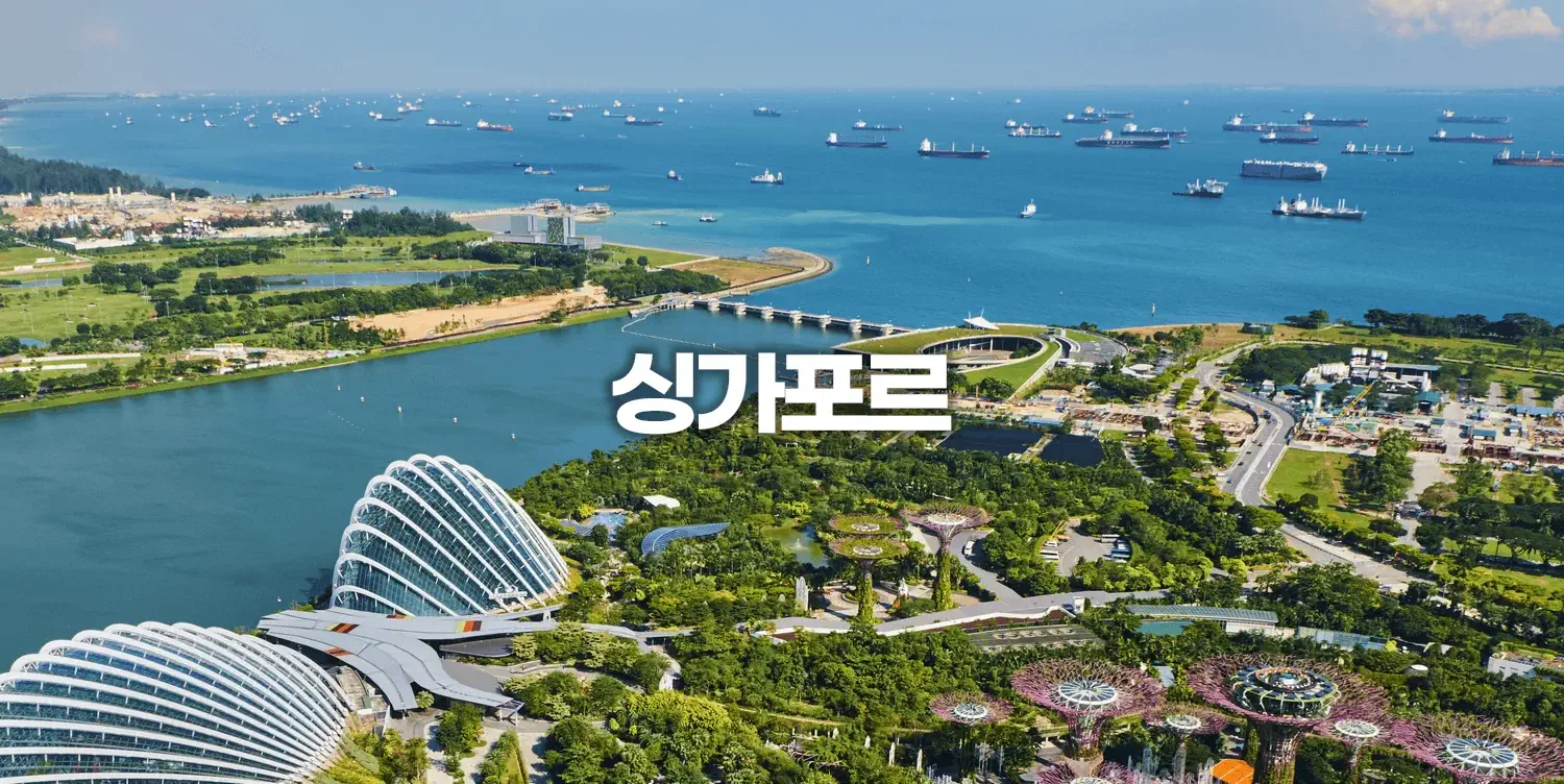 싱가포르