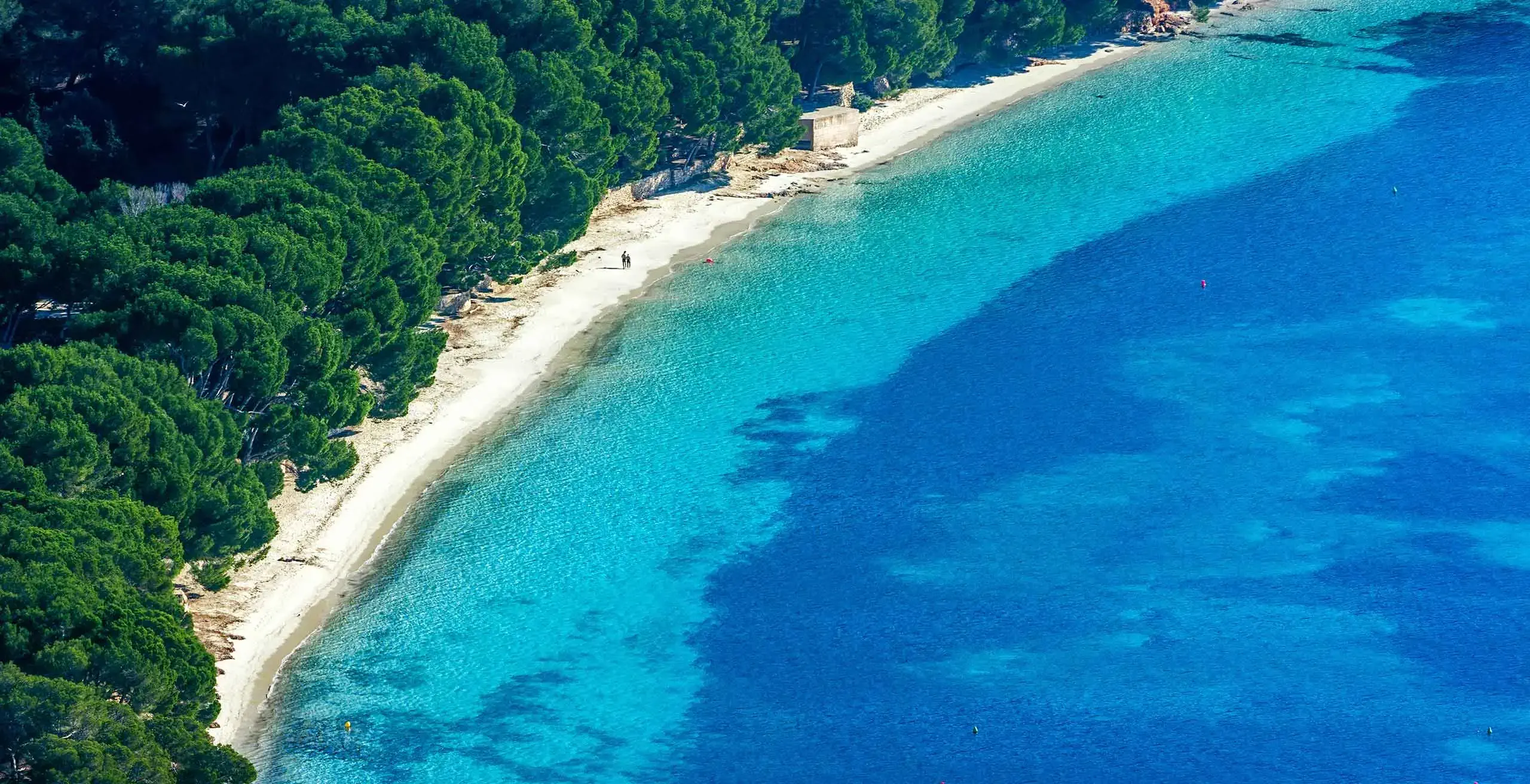 header_mobile-1
