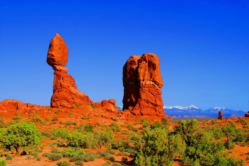 기타