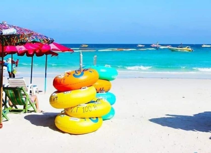 해변 사진