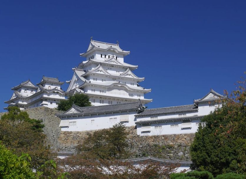기타 사진