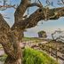 야외뷰