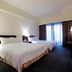 기타