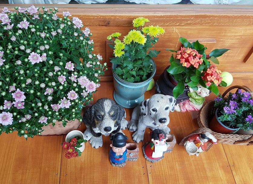기타 사진