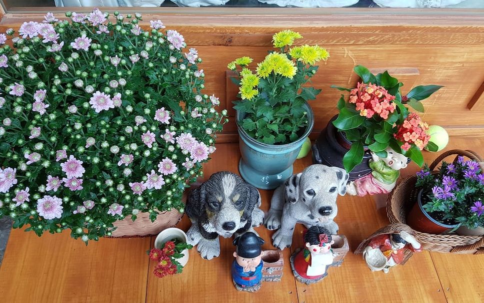 기타 사진