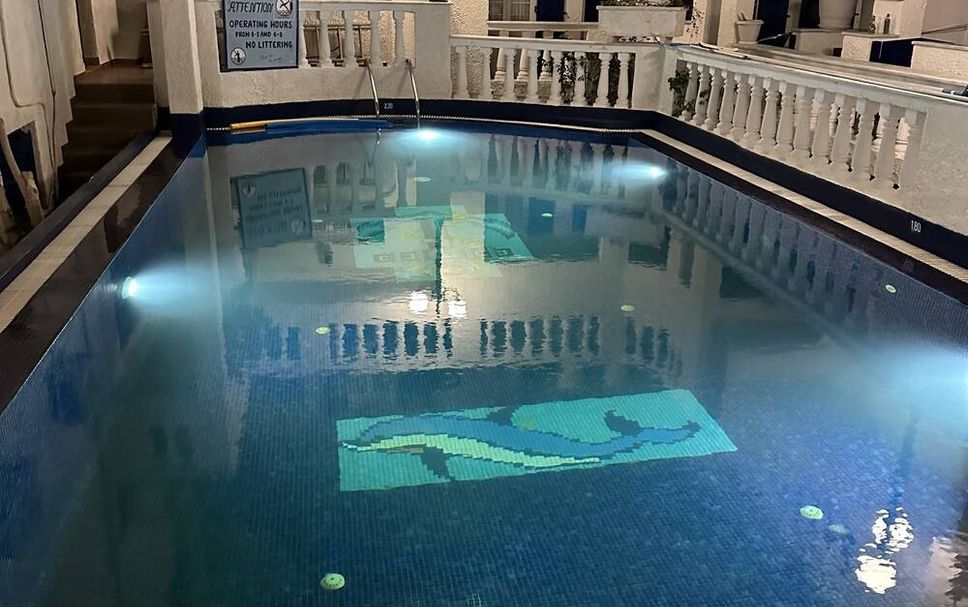 기타 사진