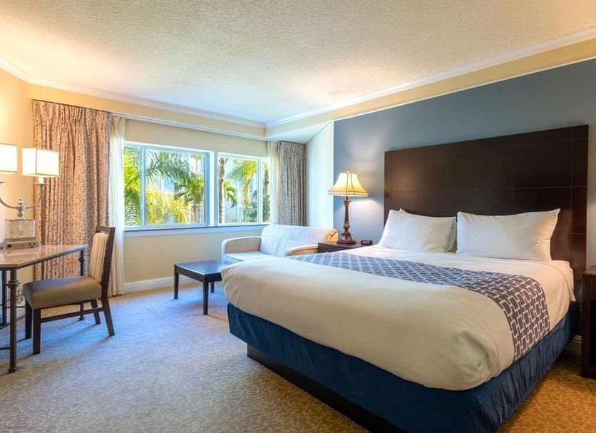 기타 사진