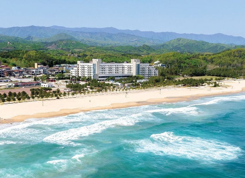 해변 사진