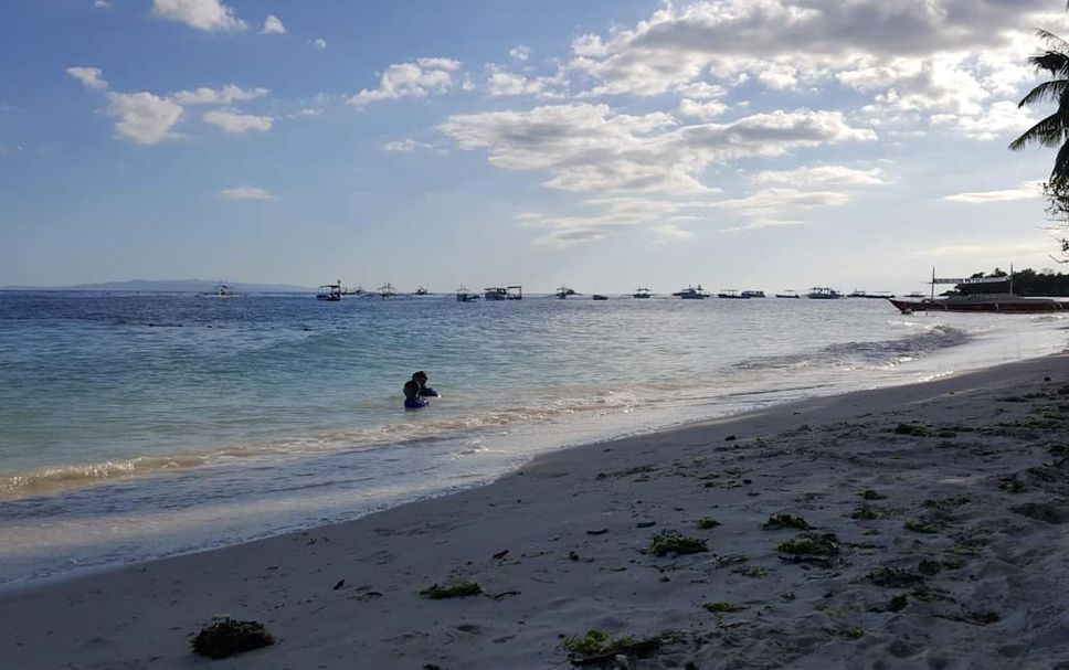 해변 사진