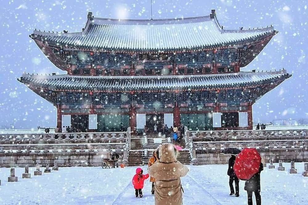 기타