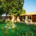 기타