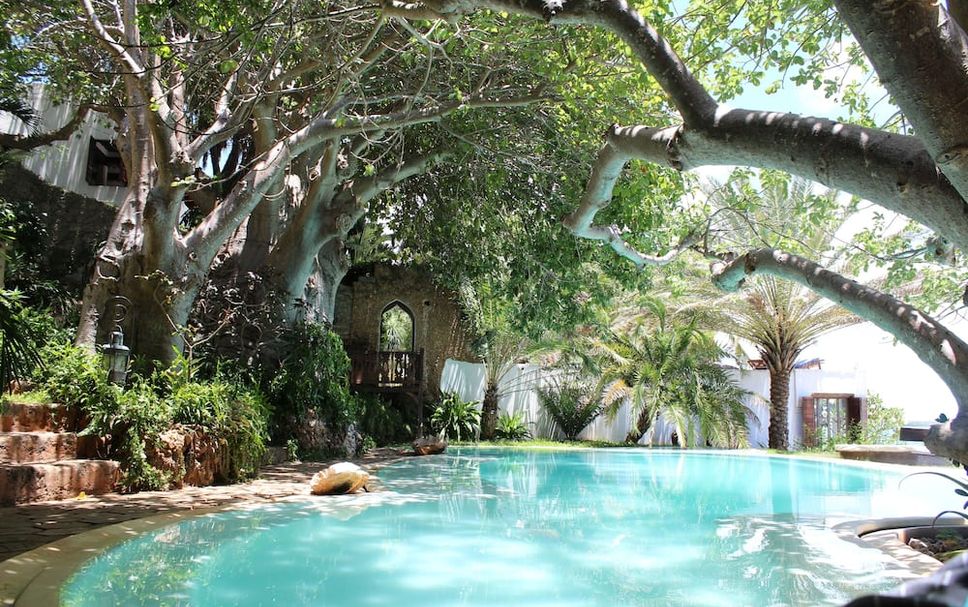 수영장 사진