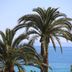 야외뷰