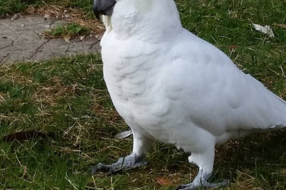 기타