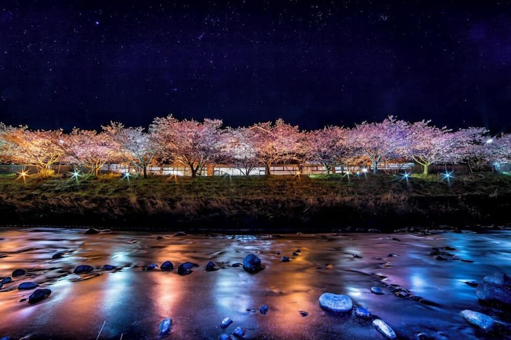 기타