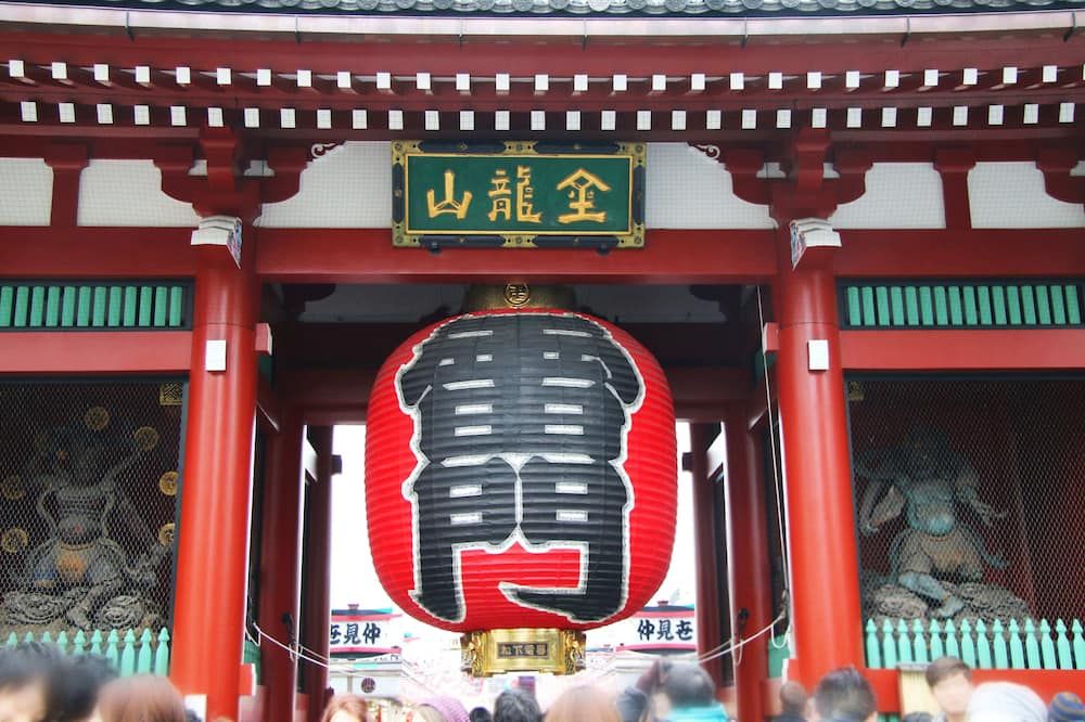 기타