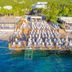 기타