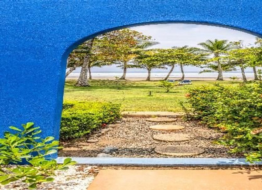 기타 사진