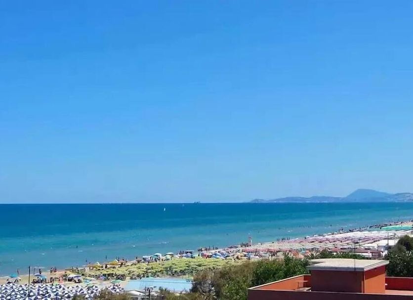 해변 사진