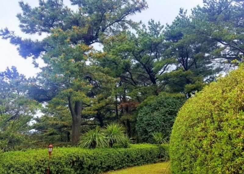 야외뷰