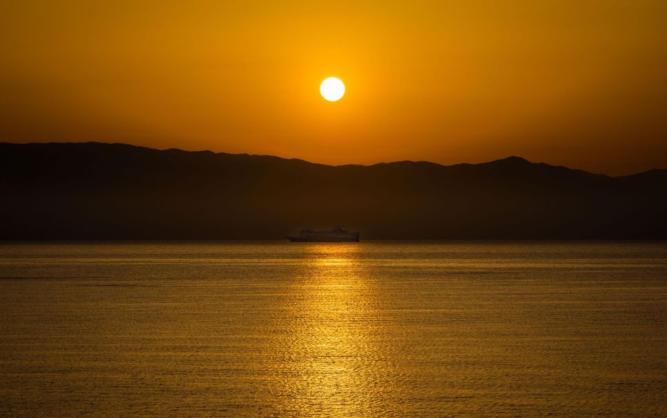 기타 사진
