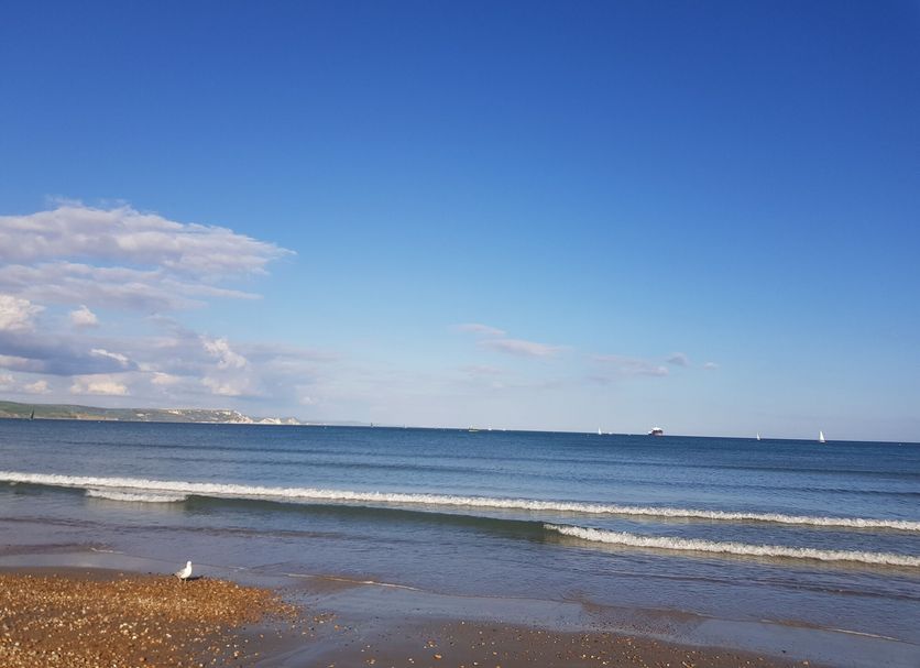 해변 사진