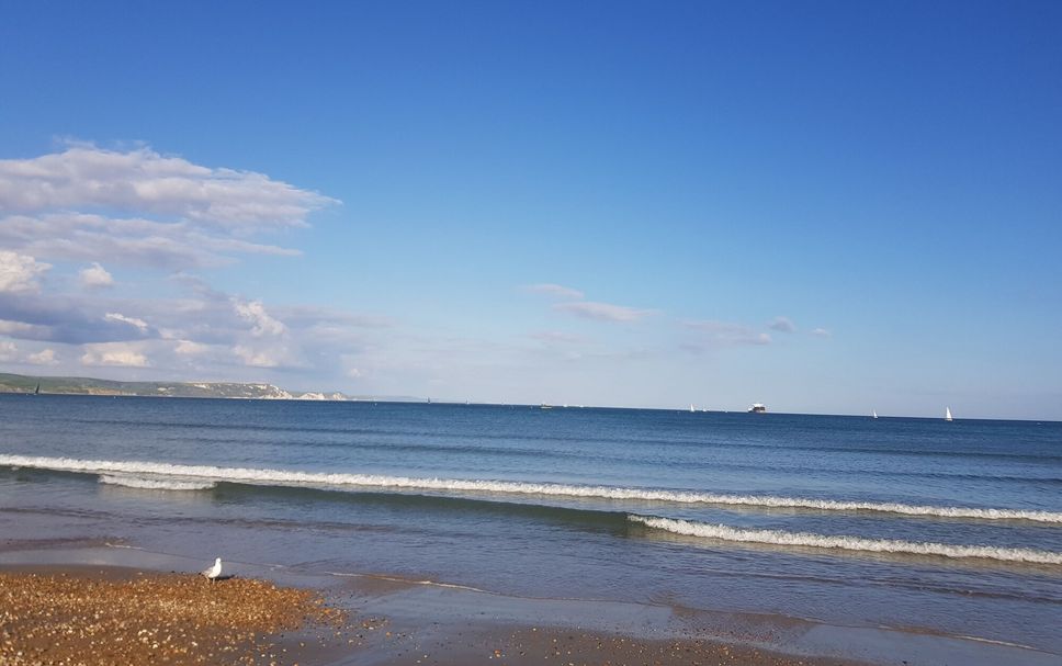 해변 사진