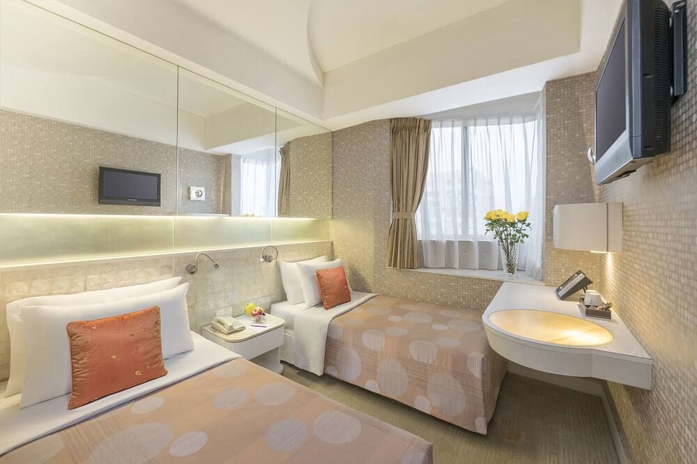 기타 사진