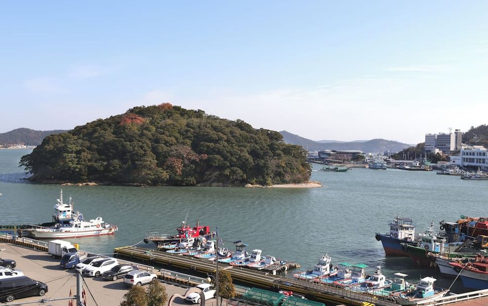 기타 사진