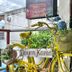 기타