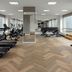 체육관