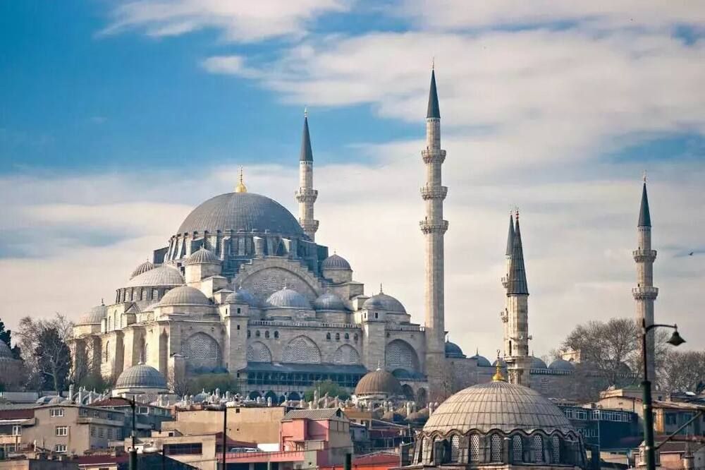 기타 사진