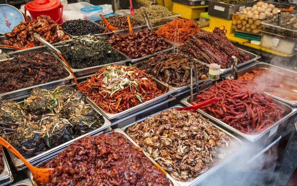 기타 사진