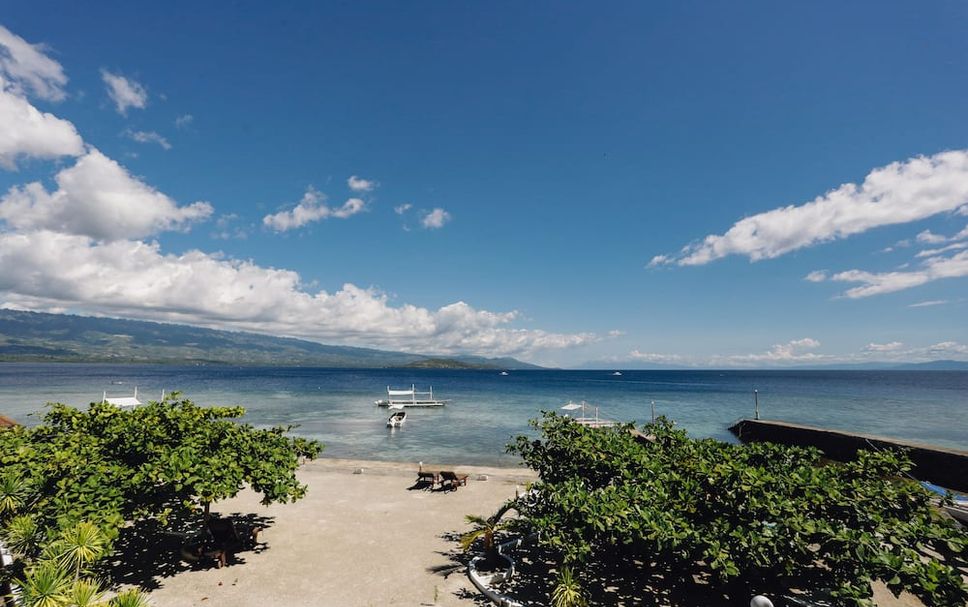 해변 사진