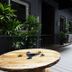 발코니