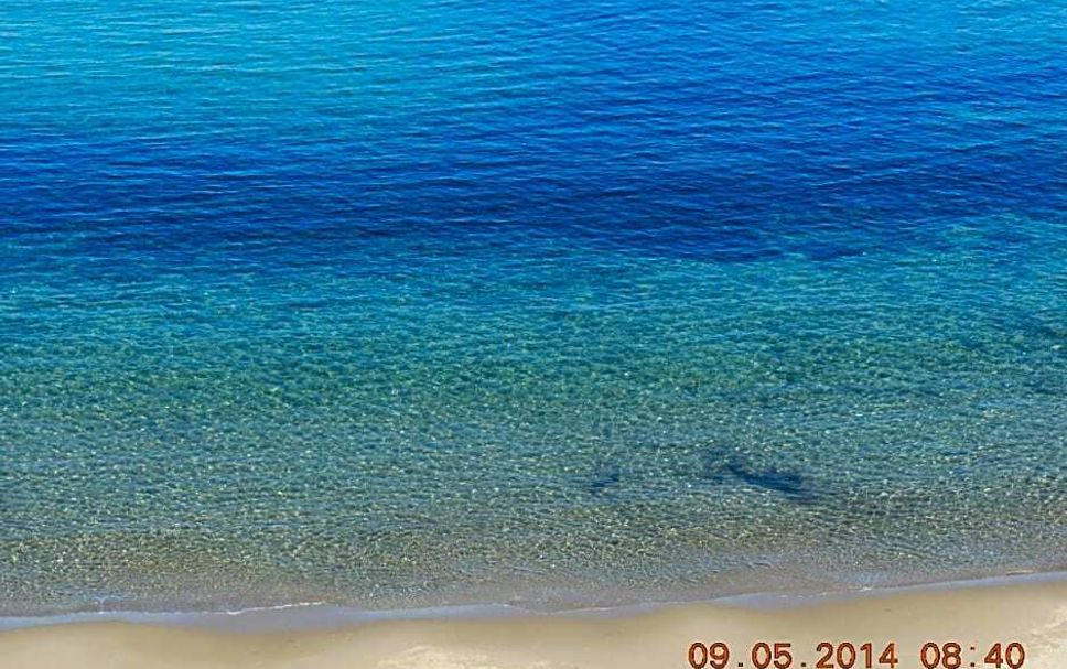 해변 사진