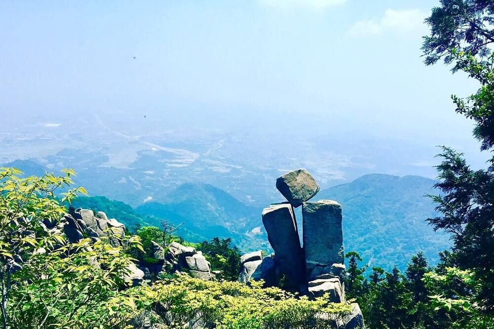 기타