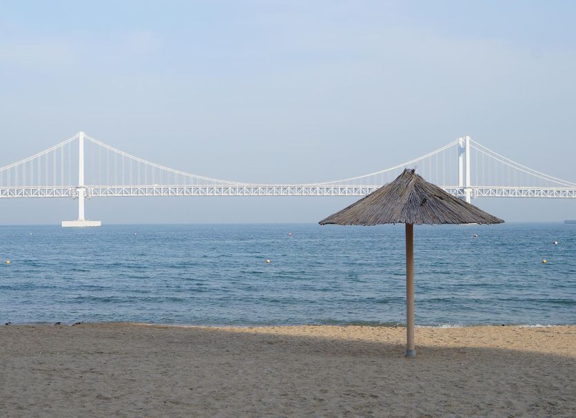 해변 사진