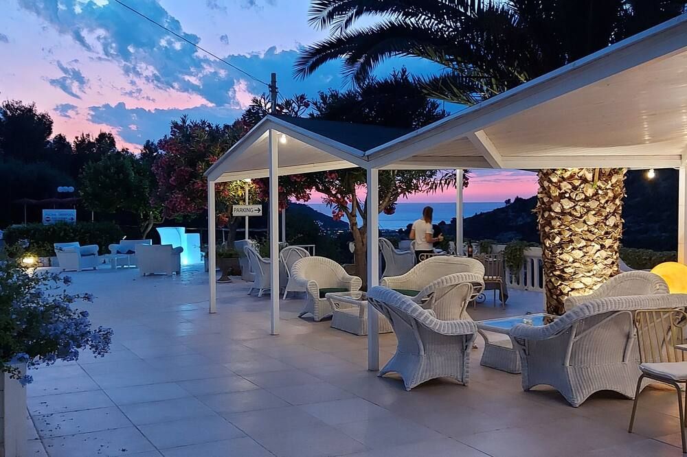 기타 사진