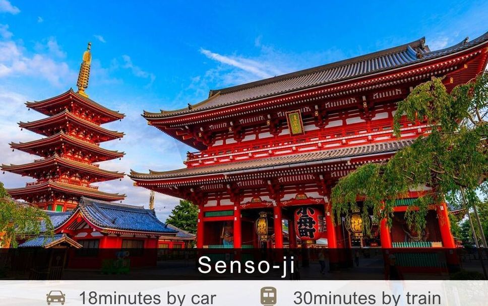 기타 사진