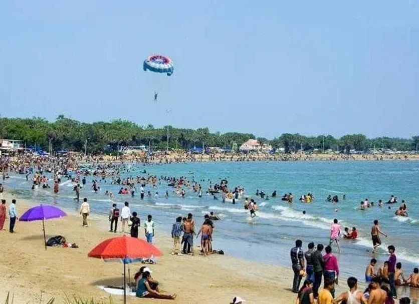 해변 사진