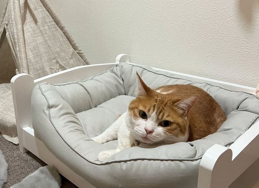 기타 사진