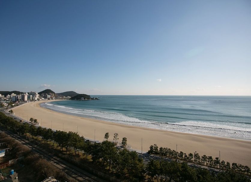 해변 사진