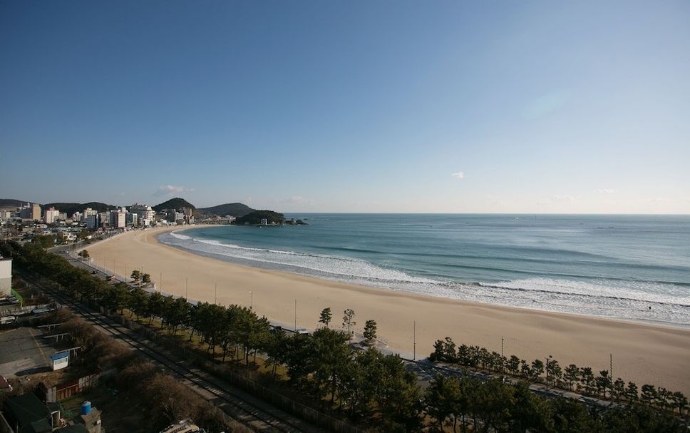 해변 사진