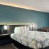 기타